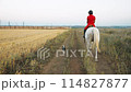 A woman in a red uniform walks on a white horse in a field of hay. Wide shot. Moves away from the camera. 114827877