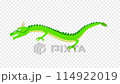 Dragon Animation 114922019