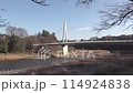 Video Bridge Riverside Winter Scenery 114924838