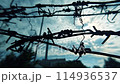 Barbed Wire Moving Background 114936537
