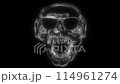 tyrannosaurus rex skull in white line on black background 114961274