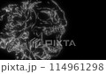 skull in white line on black background 114961298