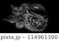 Owl head in white line on black background 114961300