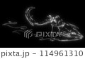 bull skull in white line on black background 114961310