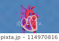Intricate Anatomy of the Heart and Circulatory System: Medical Illustration of Cardiovascular Structure 114970816