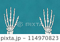 Cute Human Hand Bone Illustration: Anatomical Drawing with Adorable Elements 114970823