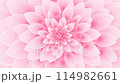 Flowers Pink Event Presentation Digital Art 114982661