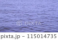 波で揺れる海面　波の音 115014735