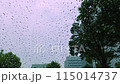 雨粒がガラスに当たり、雫が流れ落ちる　雨の日のガラス窓 115014737