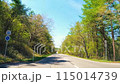 木々に囲まれる一本道を走るドライブショット　前面車窓　軽井沢 115014739