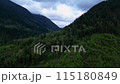 Treed Valley and Mountains at Sunset. Dramatic Cloudy Sky, Spring Season. Fraser Valley 115180849