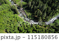 Scenic Winding River surrounded by Trees in the Fraser Valley, Aerial View. Rocks, White Water. 115180856
