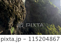 A waterfall with a green forest in the background. The water is clear and calm. The waterfall is surrounded by rocks and trees 115204867