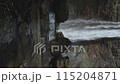 A waterfall with a green forest in the background. The water is clear and calm. The waterfall is surrounded by rocks and trees 115204871