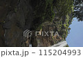 A waterfall with a green forest in the background. The water is clear and calm. The waterfall is surrounded by rocks and trees 115204993
