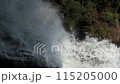 A waterfall with a green forest in the background. The water is clear and calm. The waterfall is surrounded by rocks and trees 115205000