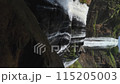 A waterfall with a green forest in the background. The water is clear and calm. The waterfall is surrounded by rocks and trees 115205003