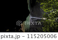 A waterfall with a green forest in the background. The water is clear and calm. The waterfall is surrounded by rocks and trees 115205006