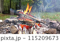 Bonfire. The fire is burning in the woods. Close-up view 115209673