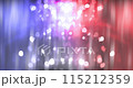 Beautiful fireworks light up the night sky as a backdrop to the Fourth of July celebration. 115212359