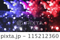 Vibrant fireworks burst in the sky to celebrate Independence Day. 115212360