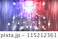 Spectacular fireworks light up the sky during Independence Day celebrations. 115212361