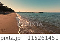 波 115261451