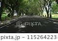 Asian woman in a colored stylish dress with turban walks and dance along the asphalt road under shady trees in the park. Portrait of a woman in motion between trees 115264223