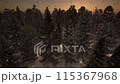 snowy, snowfall, snowfalls 115367968