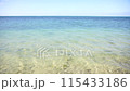 珊瑚礁灘與大海 115433186