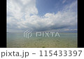 海浪拍打著珊瑚礁海灘 115433397