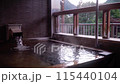 Hot spring_indoor bath_03 115440104