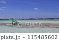 Beautiful ocean view and beach chairs 115485602