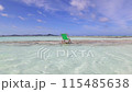 Beautiful ocean view and beach chairs 115485638