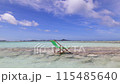 Beautiful ocean view and beach chairs 115485640