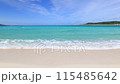 beautiful seascape 115485642