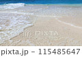 Wave of a wave 115485647