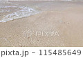 Wave of a wave 115485649