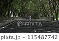 Asian woman in a colored stylish dress with turban walks and dance along the asphalt road under shady trees in the park. Portrait of a woman in motion between trees 115487742