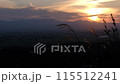 山の麓で夕日に照らされるススキ 115512241