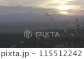 山の麓で夕日に照らされるススキ 115512242