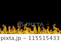 Real fire on a black background. Fire at the bottom of the screen 115515433