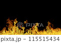 Real fire on a black background. Fire at the bottom of the screen 115515434