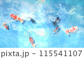 金魚在夏日的天空中循環遊動 金魚在夏日的天空中循環遊動 115541107