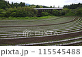 Aso-nozomi Bridge in the Hano district of Aso City, Kumamoto Prefecture, a rare covered roadway bridge in Japan and a tobacco field 115545488