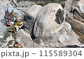 福島県田村市の巨石・岩石・東北のエアーズロック 115589304