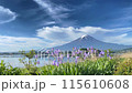 (山梨県)河口湖大石公園の花々越しに富士山 (山梨県)河口湖大石公園の花々越しに富士山 115610608