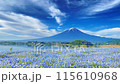 (山梨県)河口湖大石公園のネモフィラ越しに、流れる雲と富士山 (山梨県)河口湖大石公園のネモフィラ越しに、流れる雲と富士山 115610968