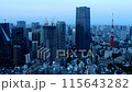 Tokyo Twilight Timelapse Illuminated Tokyo Tower and Azabu buildings 115643282