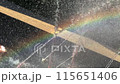 Rainbow 115651406